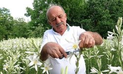 Baba mirası: Akzambaklar