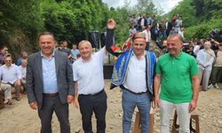 Bu da şelale ağası