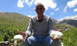 Bunun için 20 km yürüyorlar!