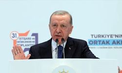 Cumhurbaşkanı'ndan uzlaşı daveti