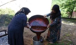 Dut pekmezi mesaisi