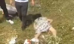 Feci kaza: 3 ölü, 3 yaralı