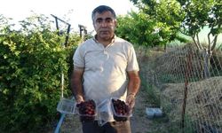 Hobiydi, taleplere yetişemiyor