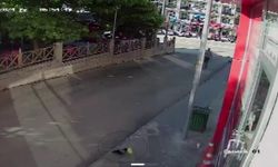 Karganın kediden intikamı!