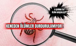 Keneden Ölümler Durdurulamıyor! O Şehirde İlk Ölüm Gerçekleşti