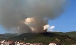 Komşuda orman yangını