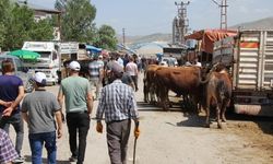 Kurban Pazarı'nda son gün yoğunluğu