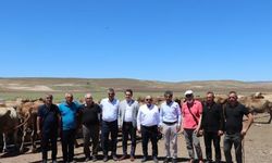 Mera Islah ve Amenajman çalışmaları devam ediyor
