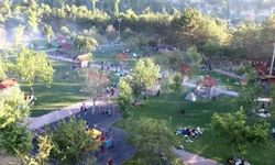 Mesire alanları yine mangal partilerine sahne oluyor!