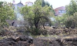 Ot yangını evlere sıçramadan söndürüldü