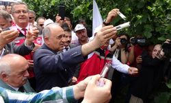 Samuraylar kokarca avında!