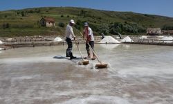 Sivas'ta 84 mineralli tuzun hasadı başladı