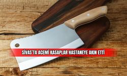 Sivas'ta acemi kasaplar hastaneye akın etti