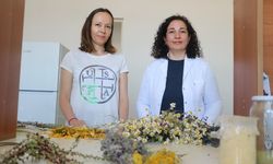 Sivas'tan bu şifa dünyaya yayılacak