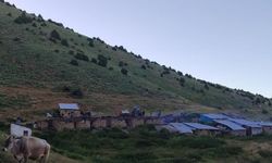 Soba yayla evlerini kül etti