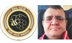 Toplu taşımada hukuk rafa mı kaldırıldı?