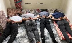 Torbacı operasyonu: 5 gözaltı