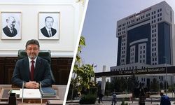 119,1 milyon lira tarımsal destek hesaplarda