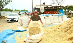 Besicilerin saman telaşı başladı