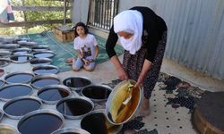 Dutun pekmez yolcuğu başladı