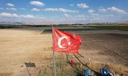 Ekmeklik buğday hasadı tüm hızıyla sürüyor