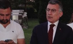 Güler'den sokak köpekleri açıklaması