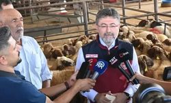 Hayvansal üretimde pozitif ayrımcılık