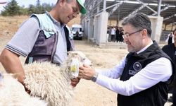 Hayvansal ve tarımsal üretimde yeni destek