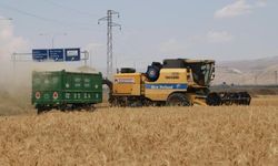 Hububat tarlalarında hasat başladı