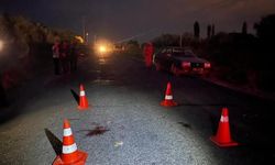 Kamyonetin çarptığı genç hayatını kaybetti