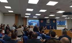 Komisyonda sahipsiz hayvan tartışmaları