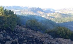 Ormanlık alanda yangın