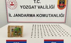 Papirüs kağıdı ve 124 sikke ele geçirildi