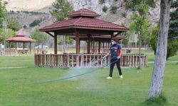 Paşabahçe'de haşere mücadelesi