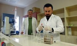 Sarımsak ve ısırgan mucizesi