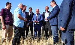 Şiddetli yağış tarım arazilerini vurdu