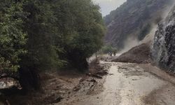 Şiddetli yağış yolları kapattırdı
