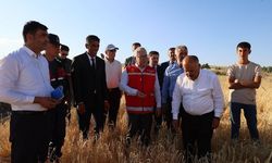 Sivas Altınyayla'da zarar tespitleri başladı