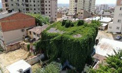 Sivas'ın en çevreci evi
