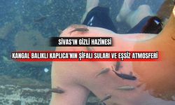 Sivas'ın Gizli Hazinesi: Kangal Balıklı Kaplıca'nın Şifalı Suları ve Eşsiz Atmosferi 