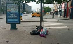 Sivas'ta ağaçların diplerine çöplerini attılar