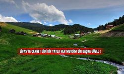 Sivas'ta Cennet Gibi Bir Yayla Her Mevsim Bir Başka Güzel ! 