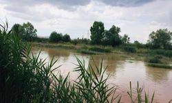 Sivas'ta Kızılırmak yağmurla birlikte taştı