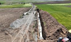 Sivaslı üreticilere yılda 69 milyon lira ek gelir