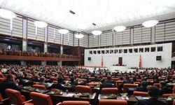 Sokak hayvanları kanun teklifi TBMM'de kabul edildi
