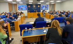 Sokak hayvanlarına yönelik yasa teklifi komisyondan geçti