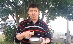 Yaylalarda mantar bereketi
