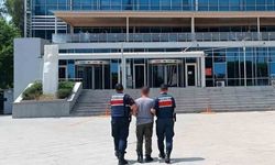520 zehir taciri yakalandı