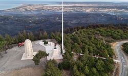 980 futbol sahası orman yandı