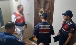 BTÖ'ye Gürz-8 operasyonu